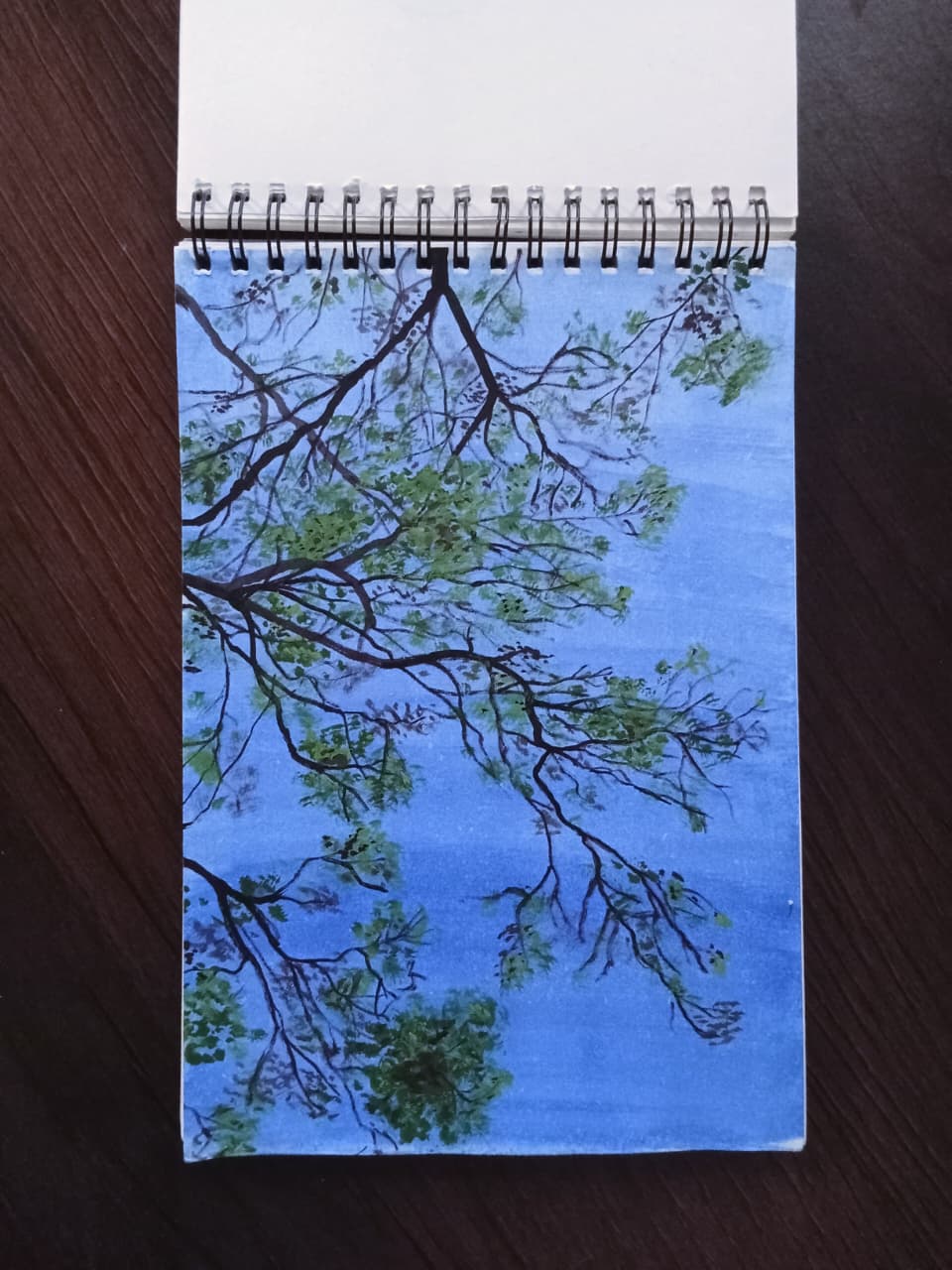 branches drawing