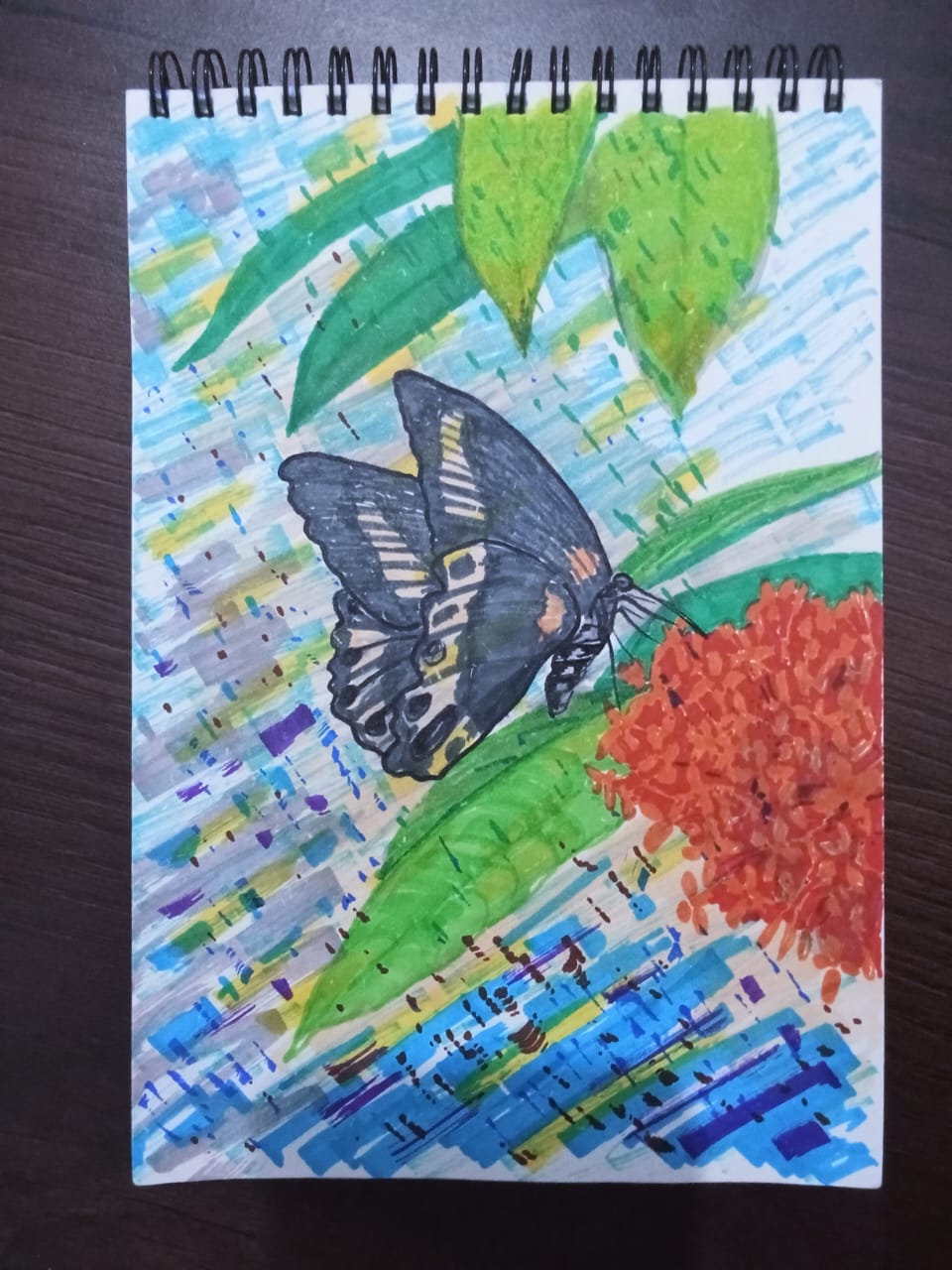 butterfly drawing