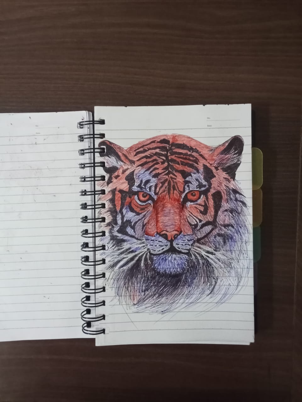 tiger drawing